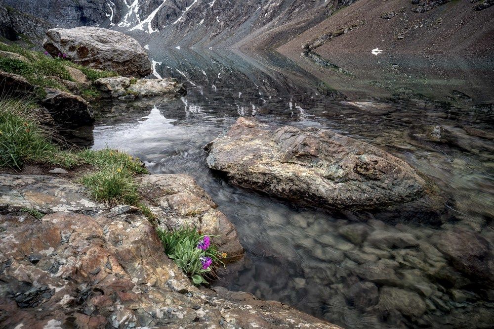 Photograph by Laima Kuriene