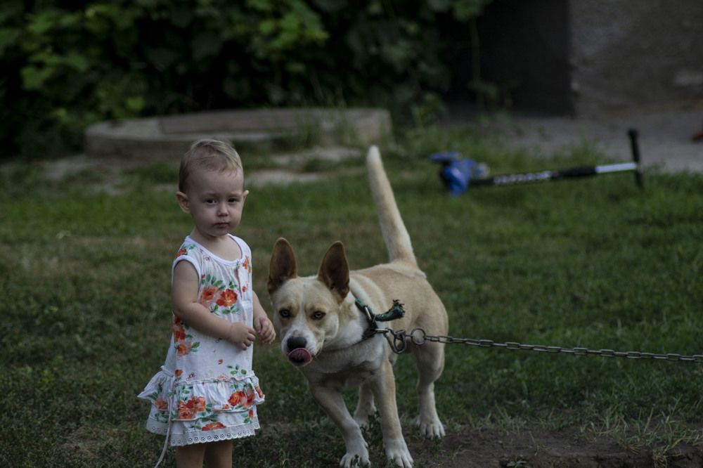 Photograph by Елена Войтина