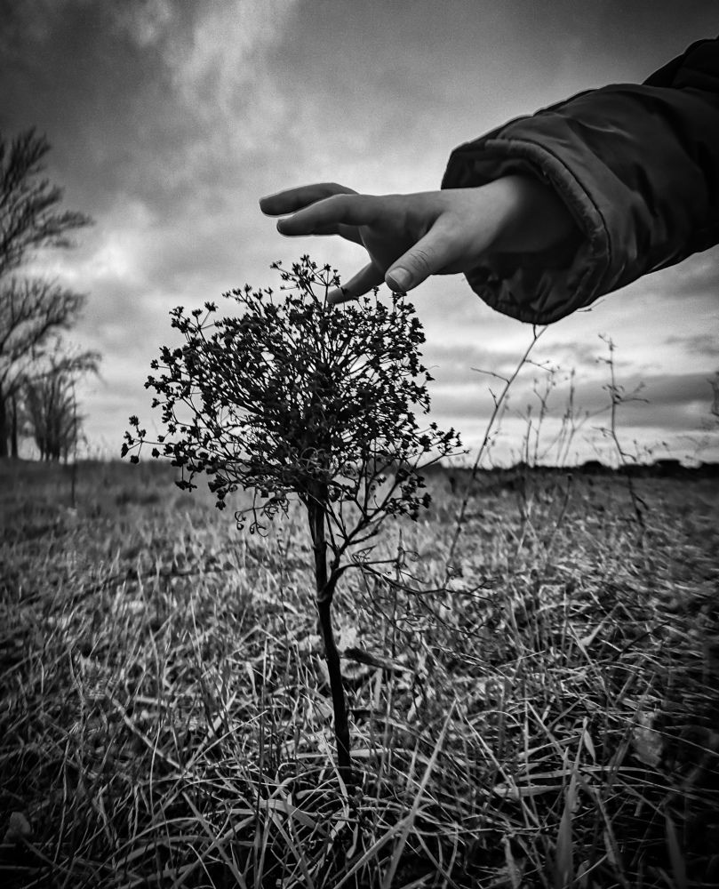 Странности