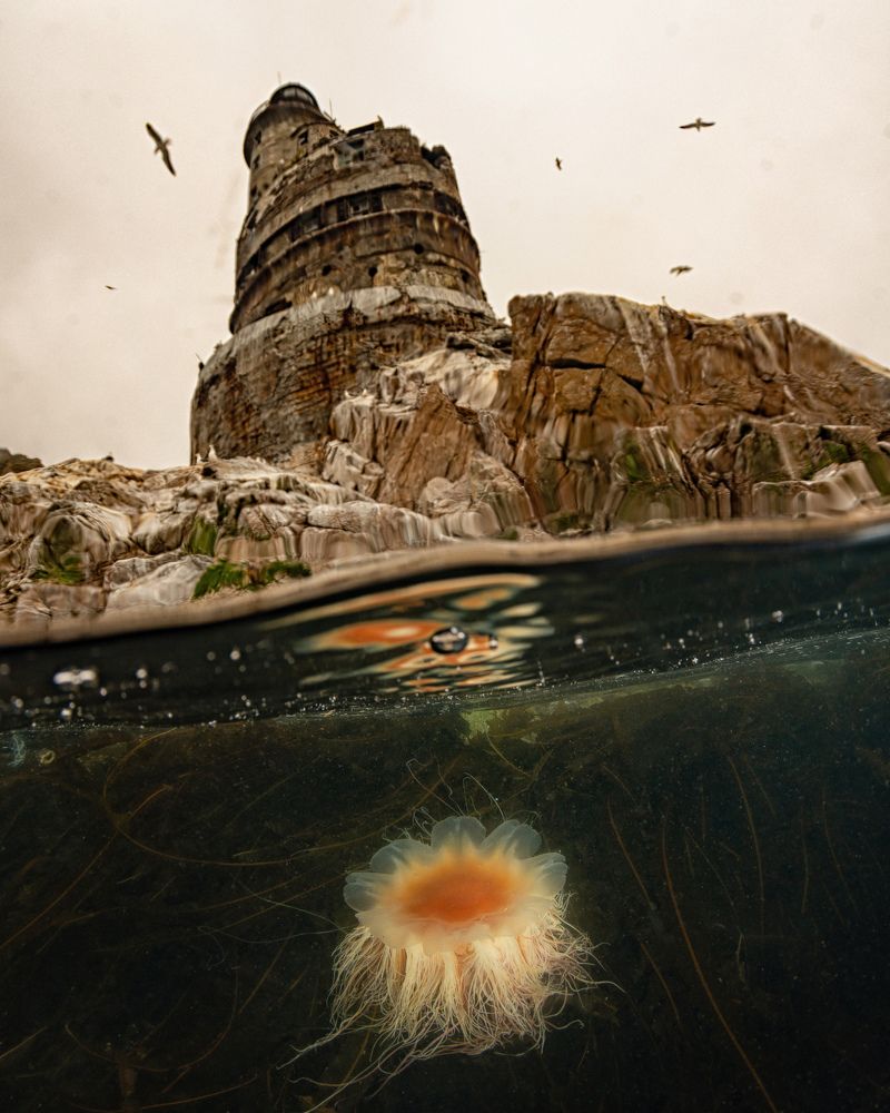 Фотография автора Евгения Кирпиченкова (Клипп)