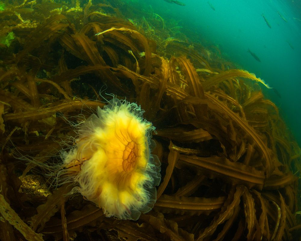 Фотография автора Евгения Кирпиченкова (Клипп)