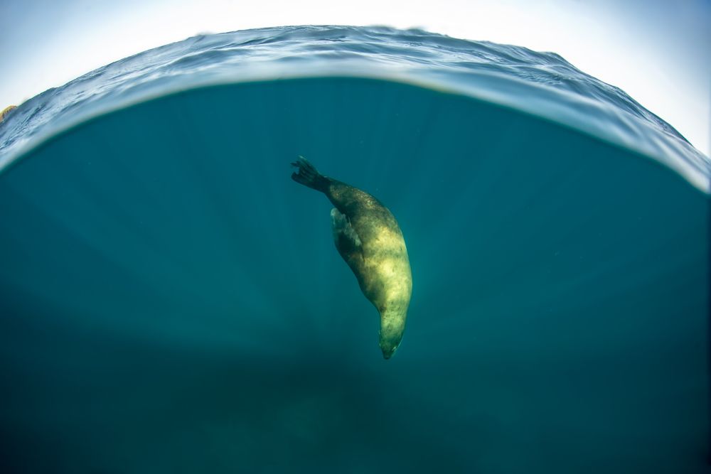 Фотография автора Евгения Кирпиченкова (Клипп)