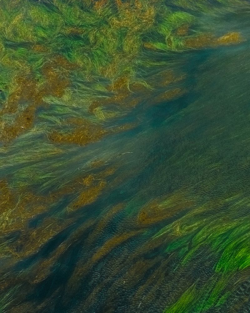 Фотография автора Евгения Кирпиченкова (Клипп)