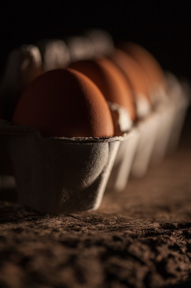 Photograph by Gennadiy Udovichenko