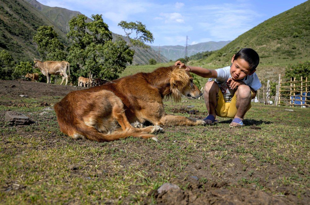Photograph by Laima Kuriene