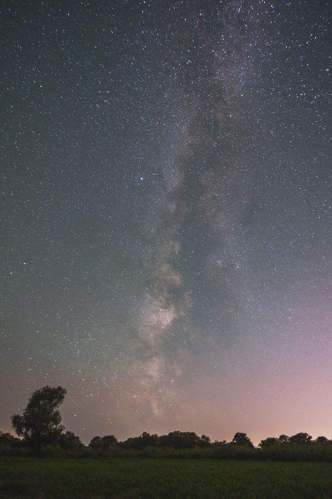 Photograph by Анастасия Киселева