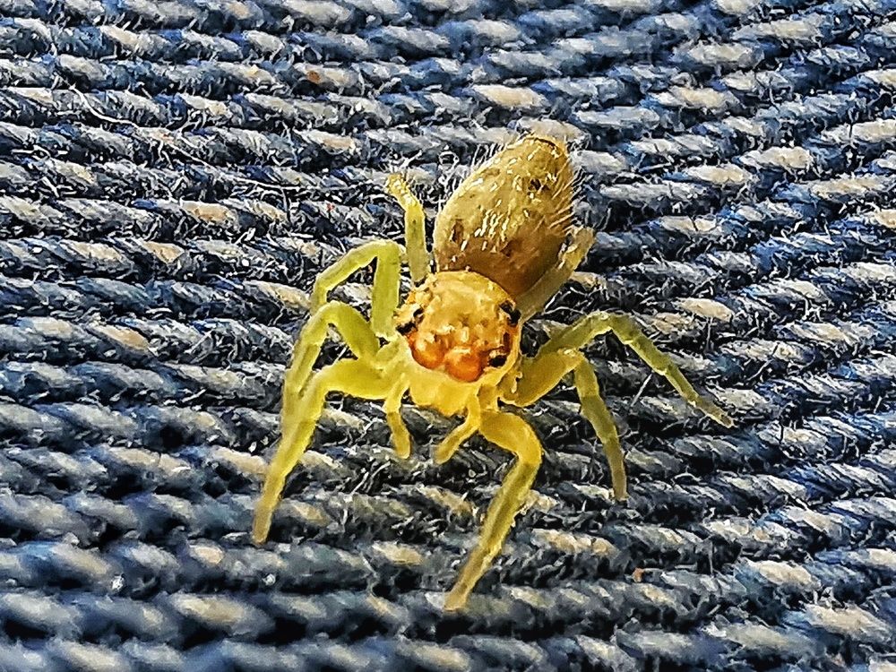 Photograph by Waleed Hassan