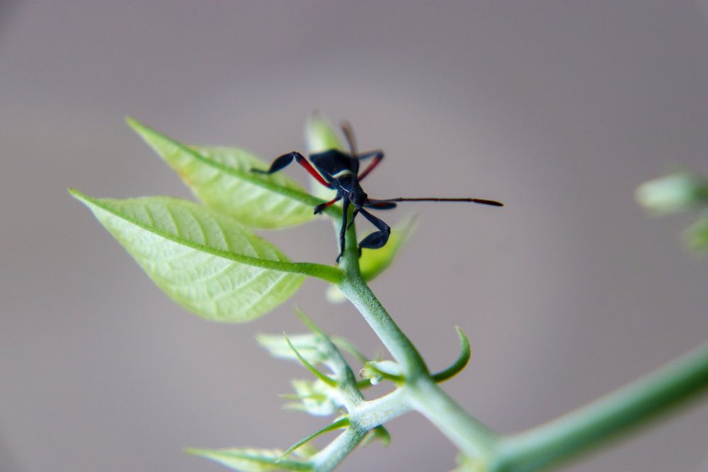 Photograph by Komang Mariono