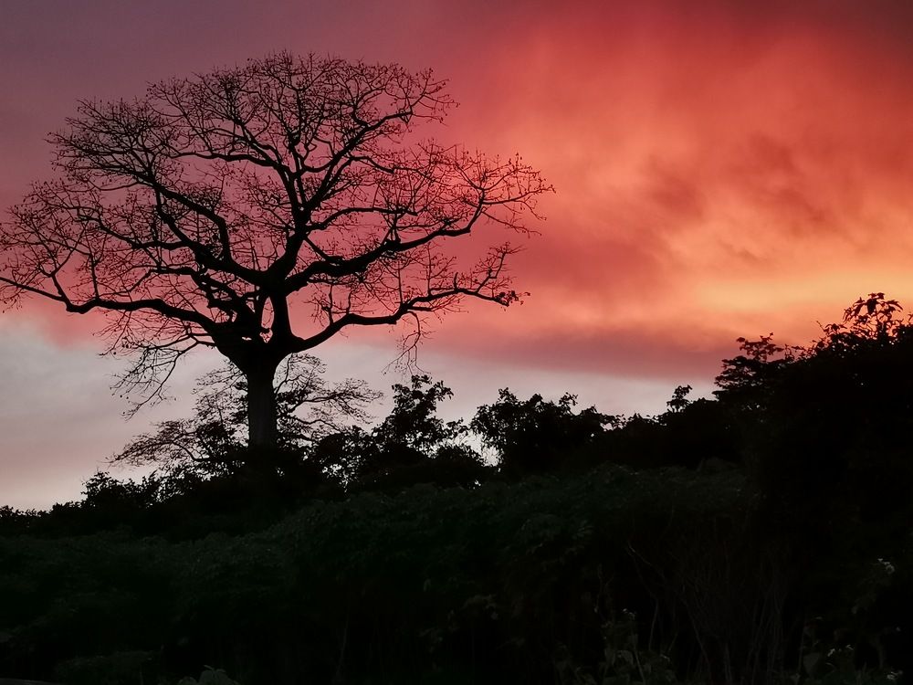 Photograph by Worlanyo Wemegah