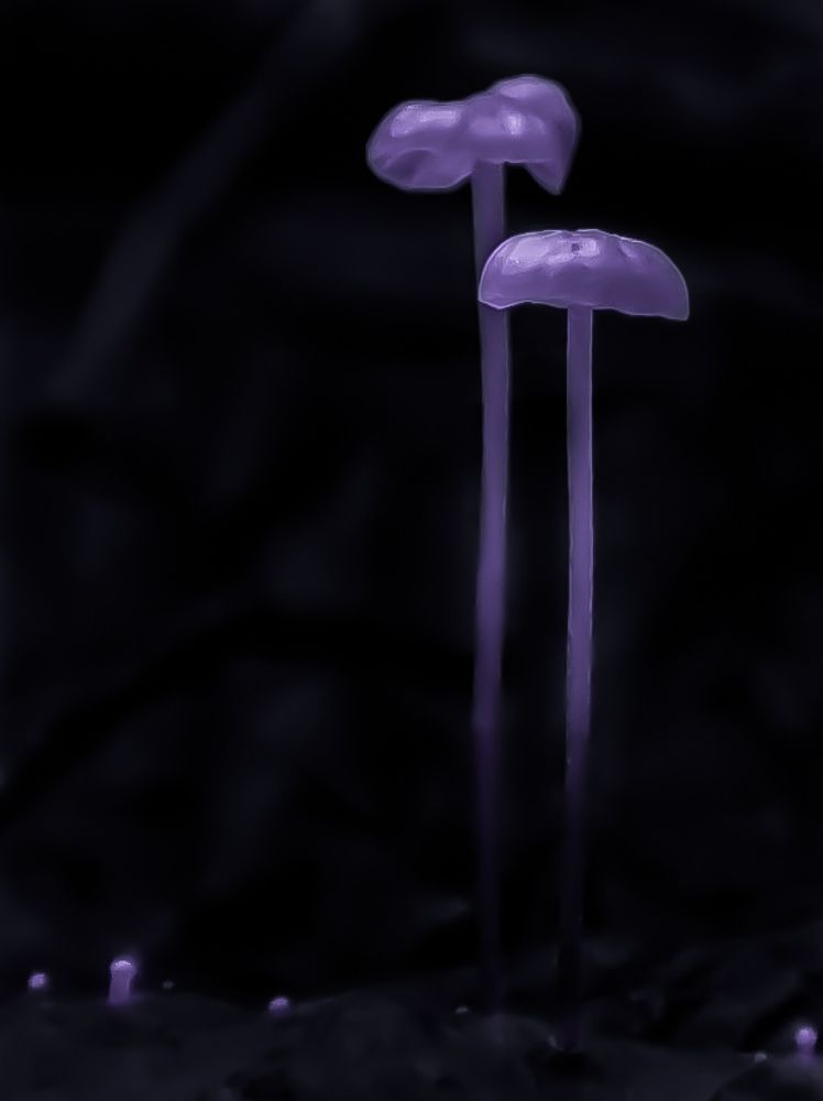 Photograph by Анна Кабиева