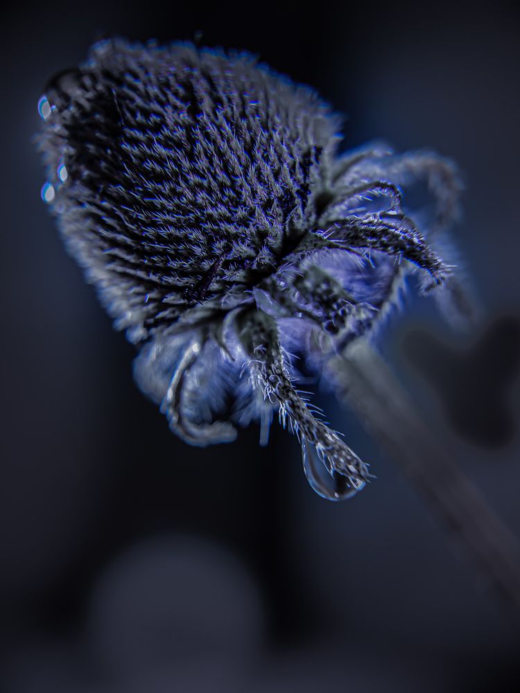 Photograph by Анна Кабиева