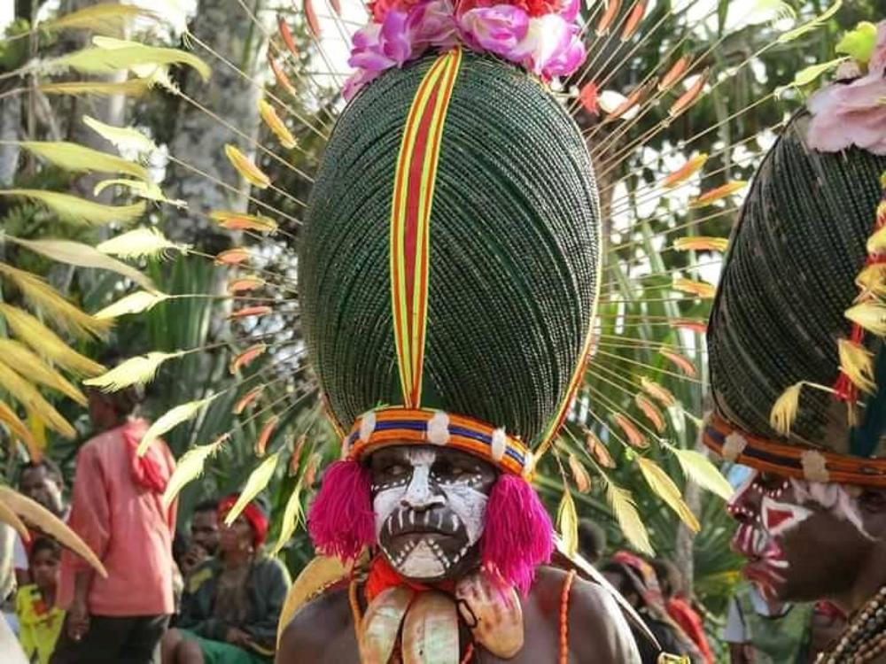 beetle headdress
