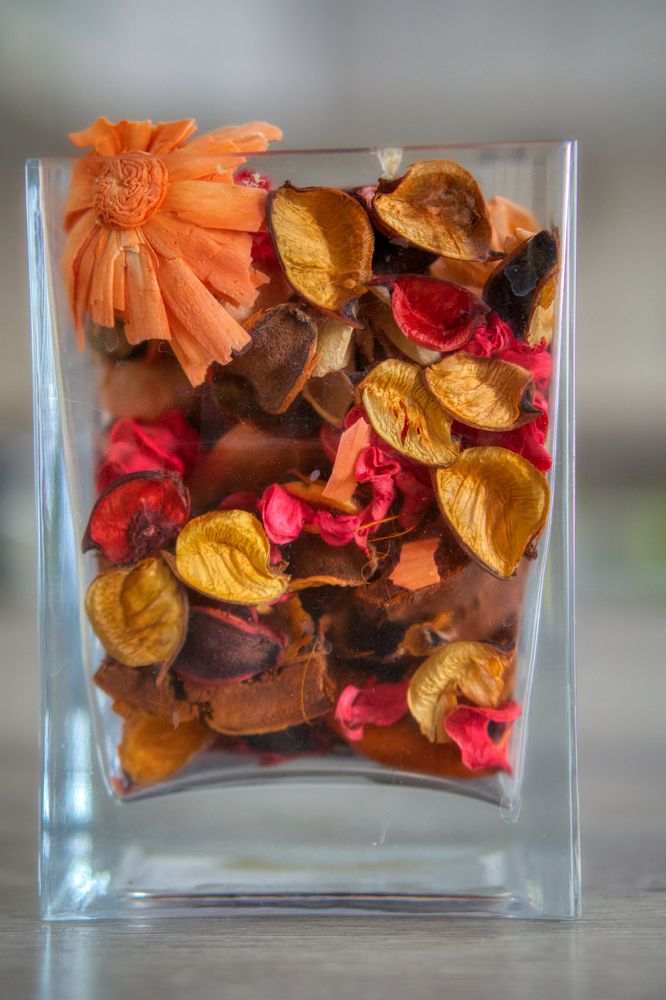 Photograph by Александр Пургин