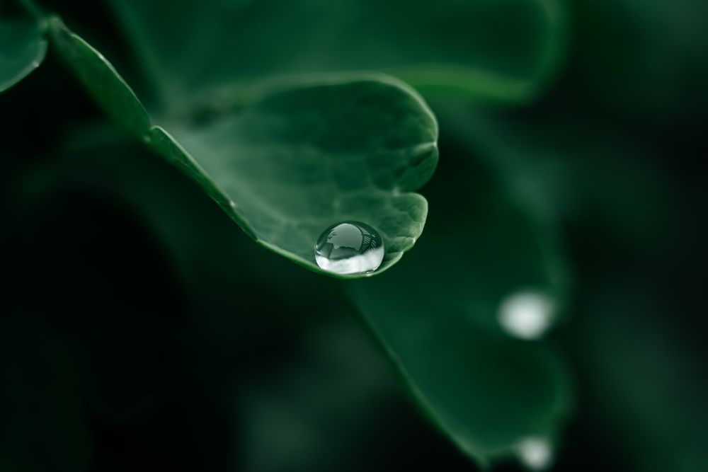 Photograph by Олег Зальвовский