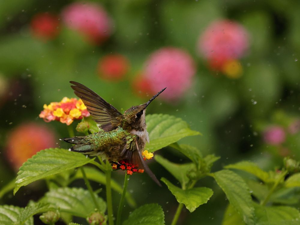 Photograph by Wei fu