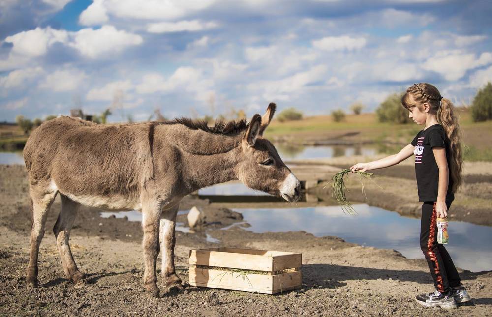 Фотография автора Ольга Коваленко