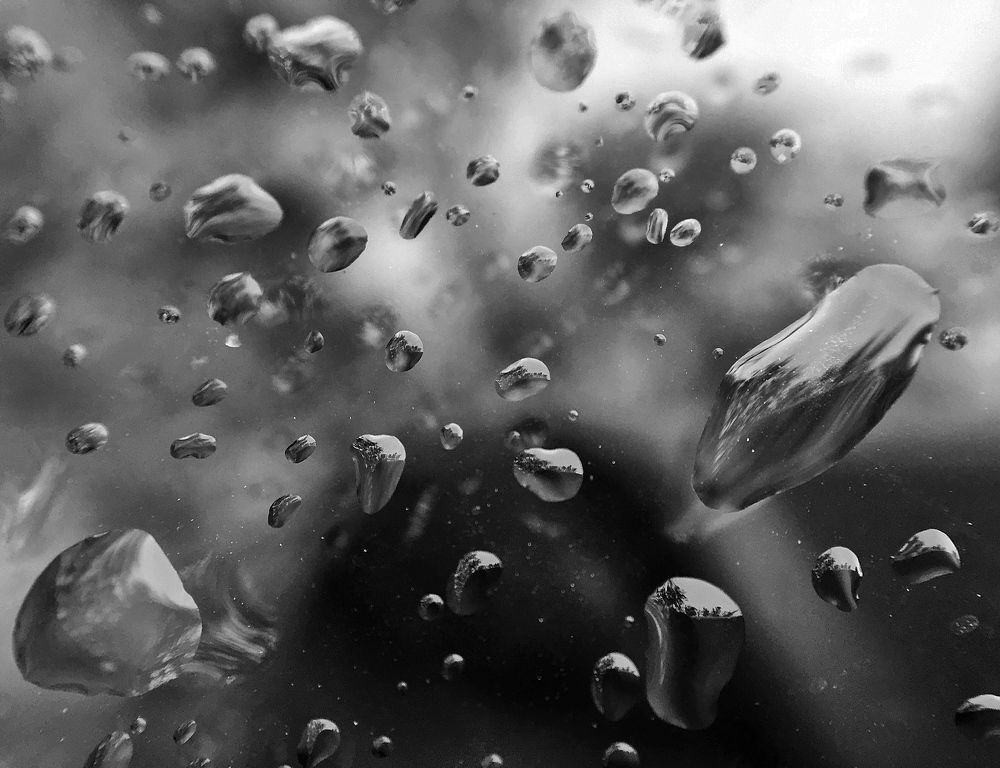 Фотография автора Hamidreza Saedi