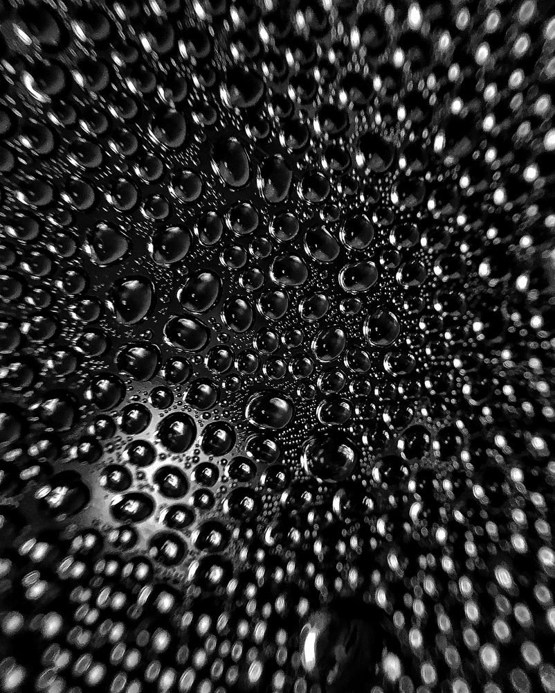 Фотография автора Hamidreza Saedi