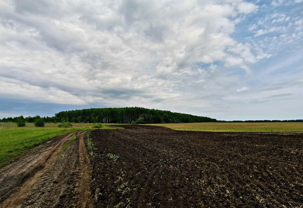 Photograph by Игорь Носков (Домненко)