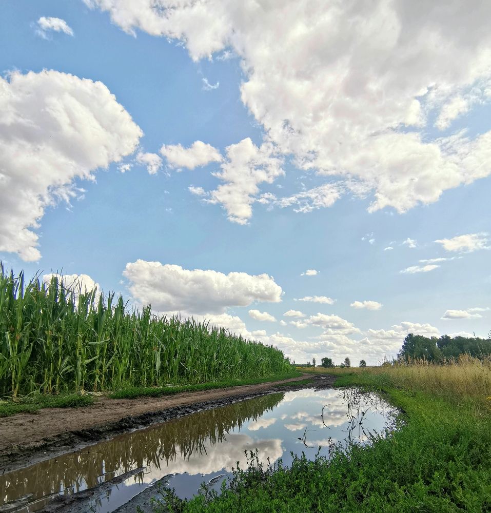 Photograph by Игорь Носков (Домненко)