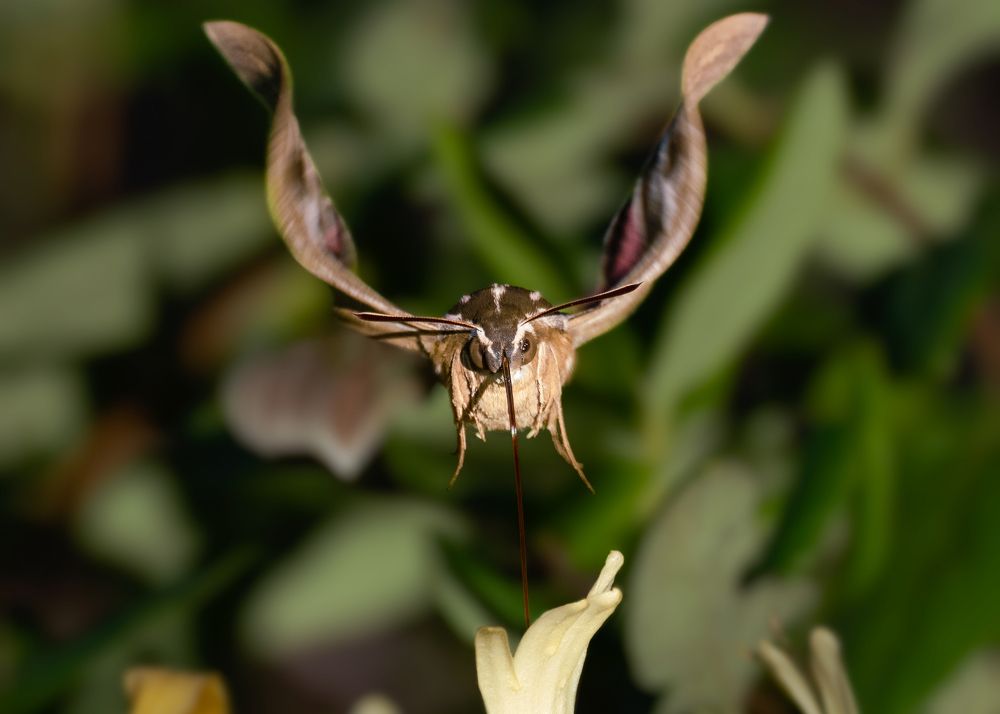 Фотография автора Heather Spencer