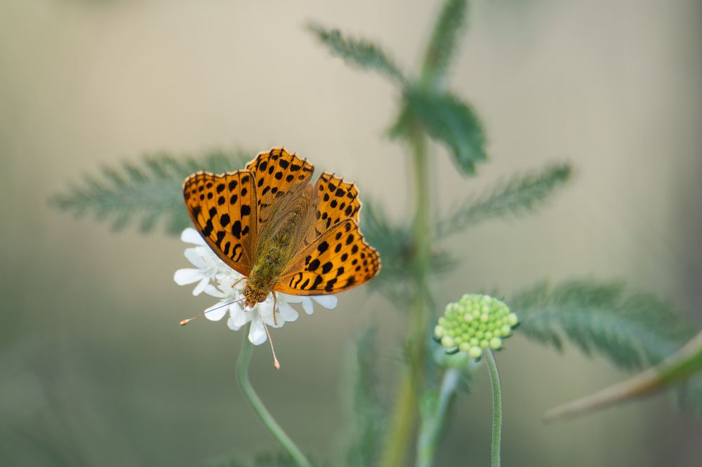 Photograph by Денис Ветренко
