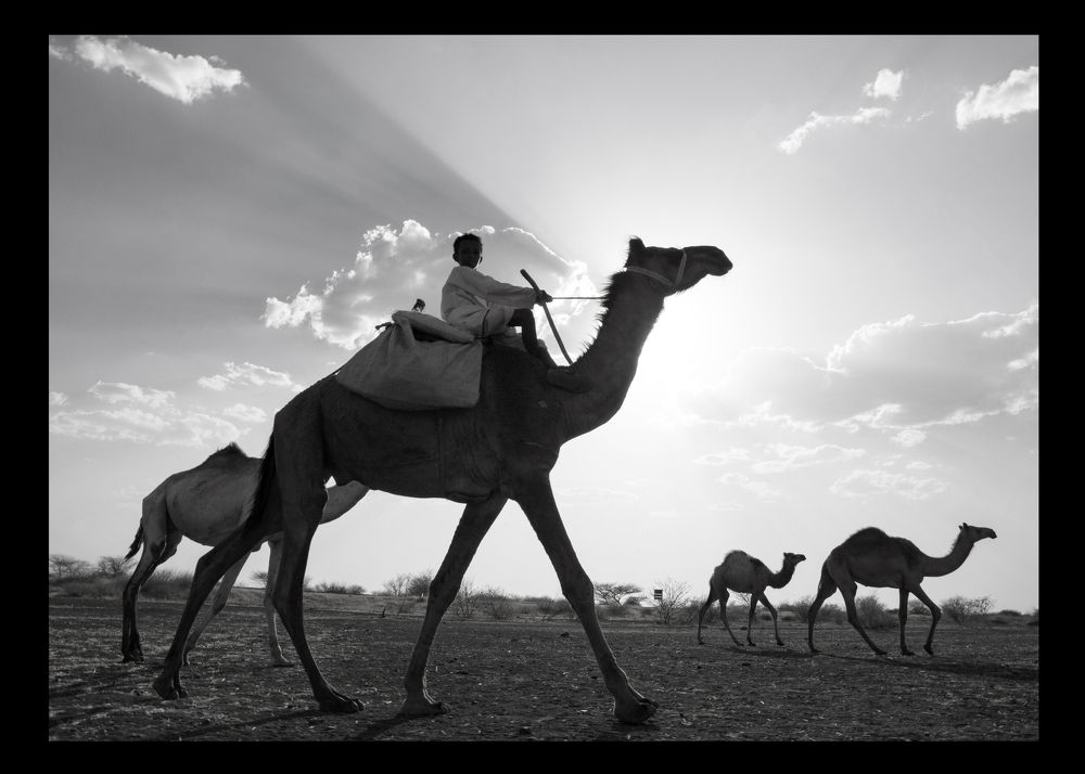 Photograph by Mujahid awad