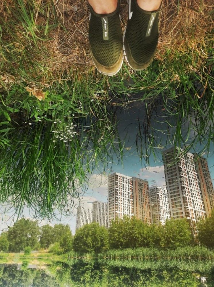 Мир перевернулся