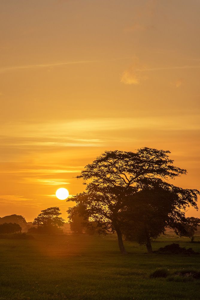 Photograph by Madhusha Senavirathna