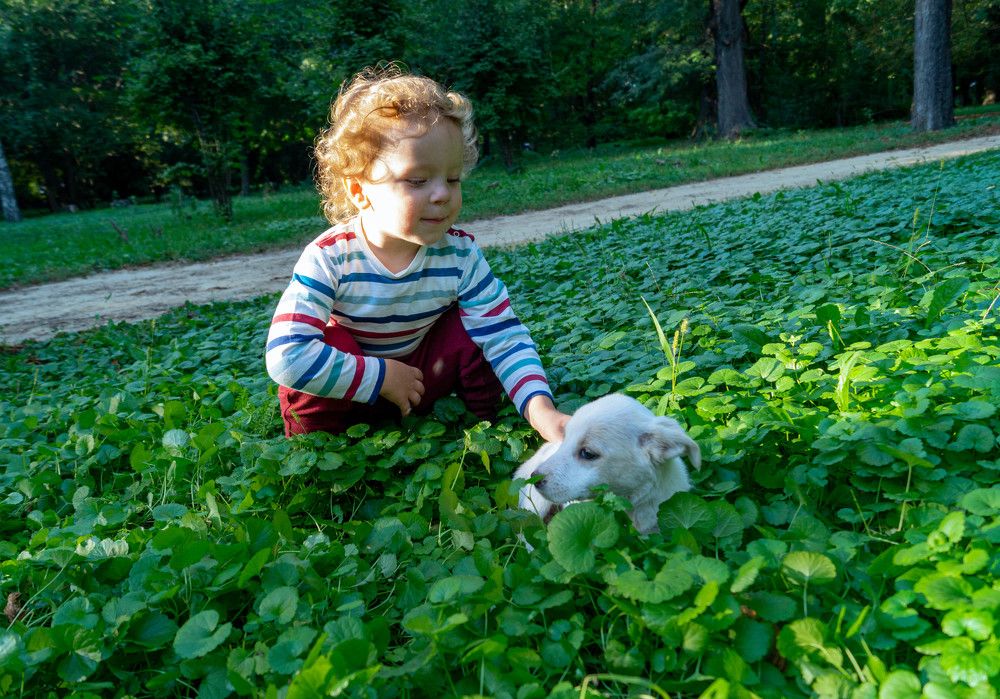 Photograph by Vlad Proshin