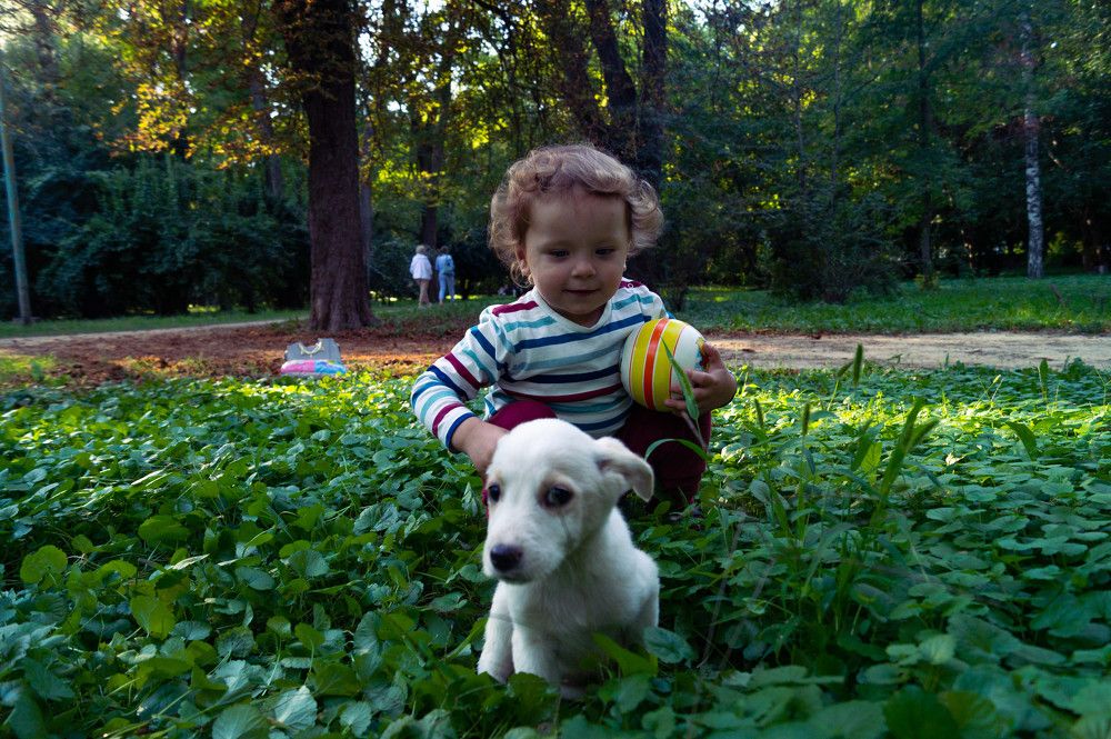 Photograph by Vlad Proshin