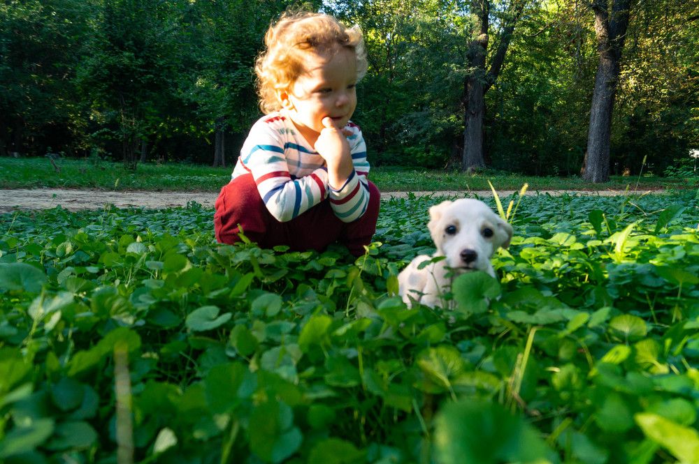 Photograph by Vlad Proshin