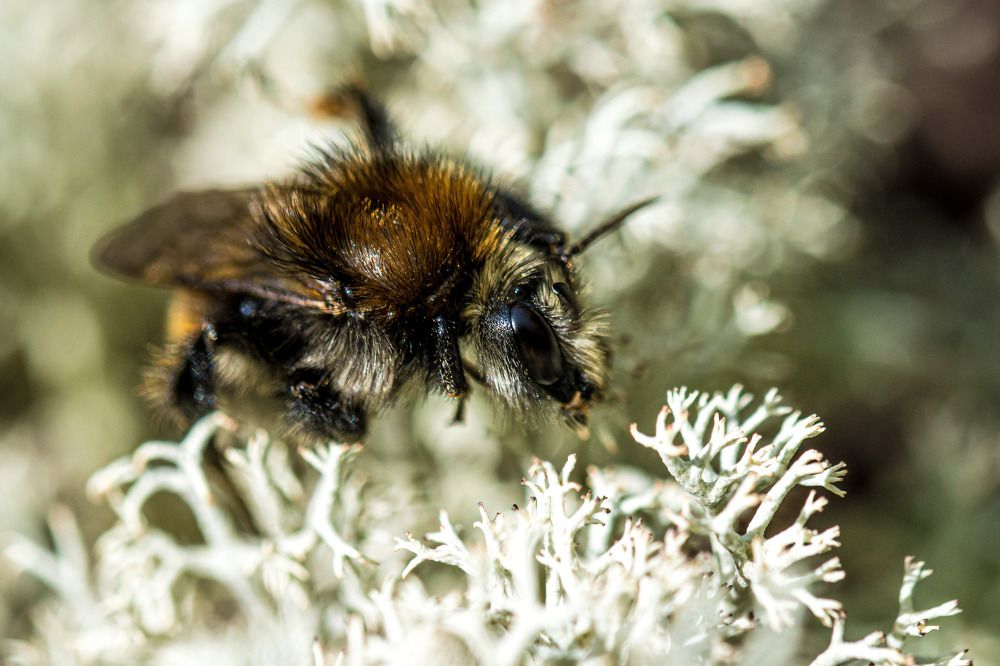 Photograph by Наталья