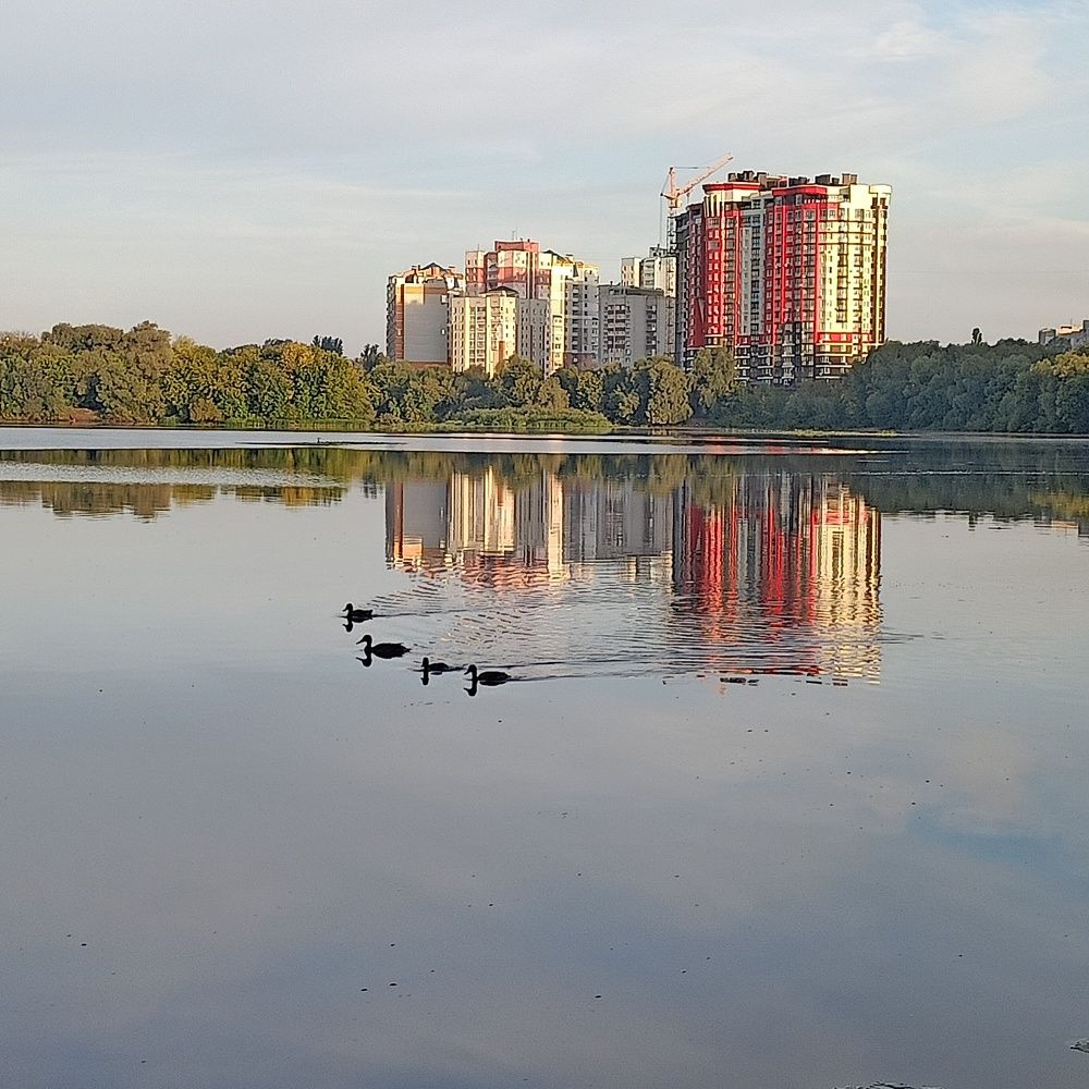 Синхронное плавание