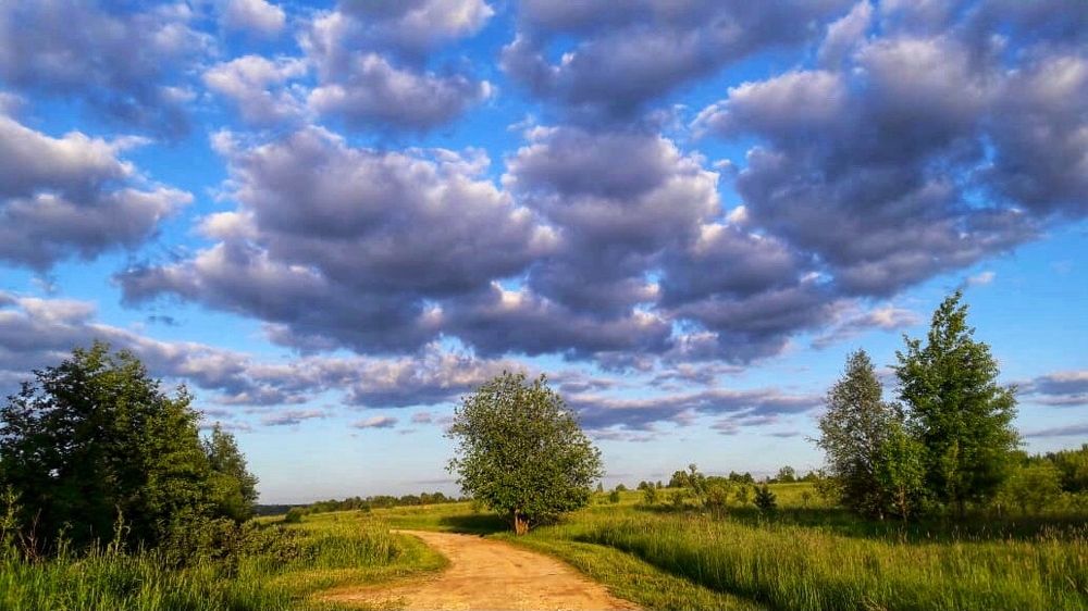 Фотография автора Ольга Белоусова