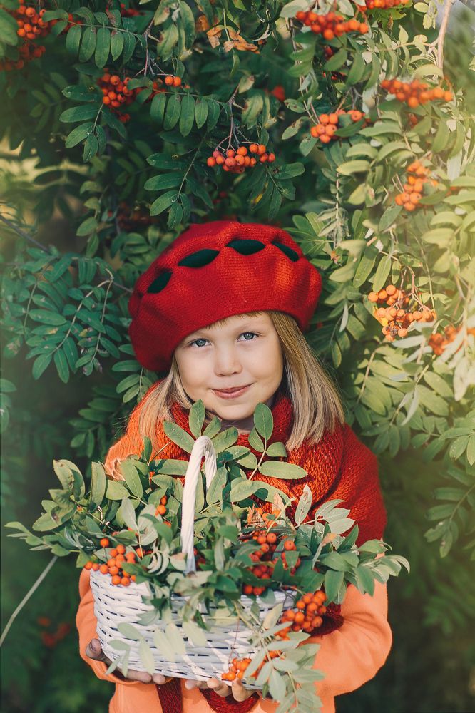 Василина и рябина