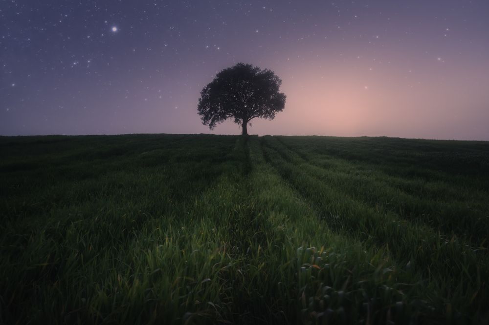 Under the glow of the stars