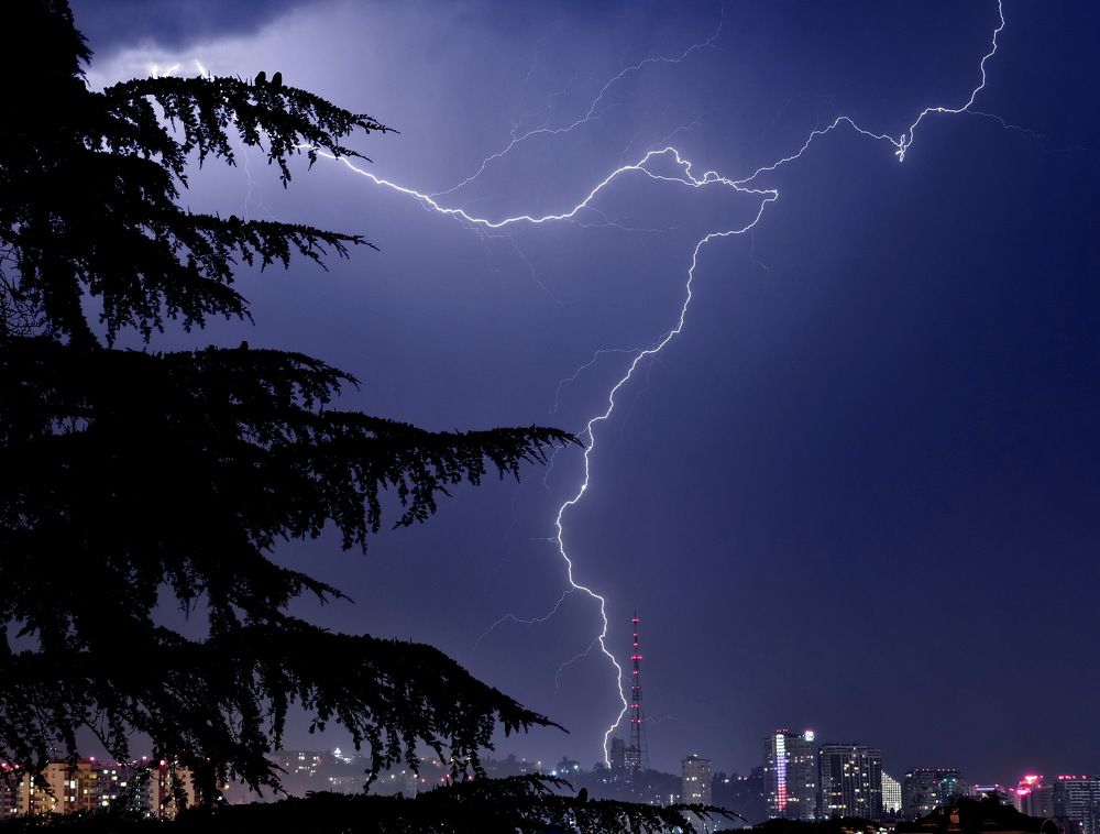 Фотография автора лилия беланова