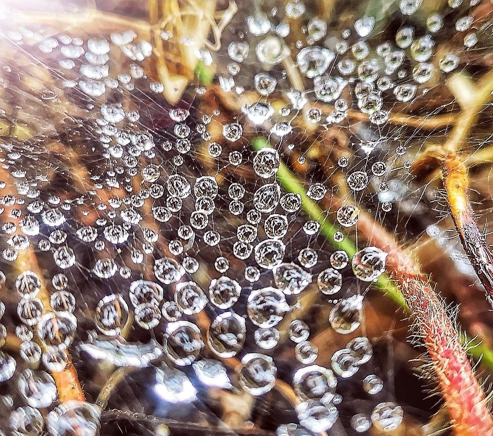 Photograph by Иван Локманов