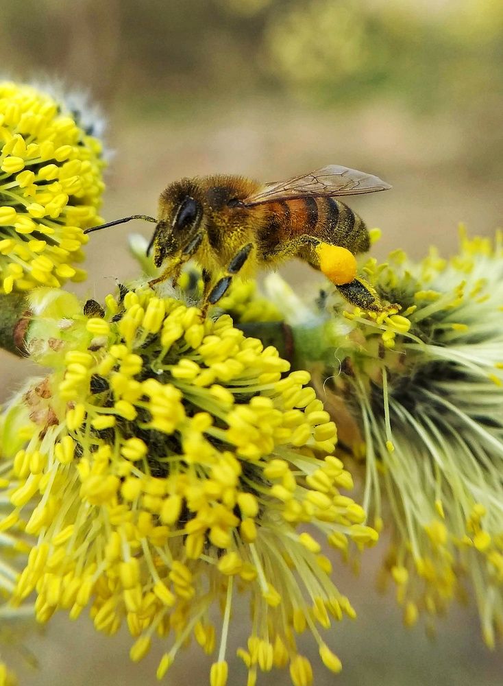 Photograph by Inna Kabanovich