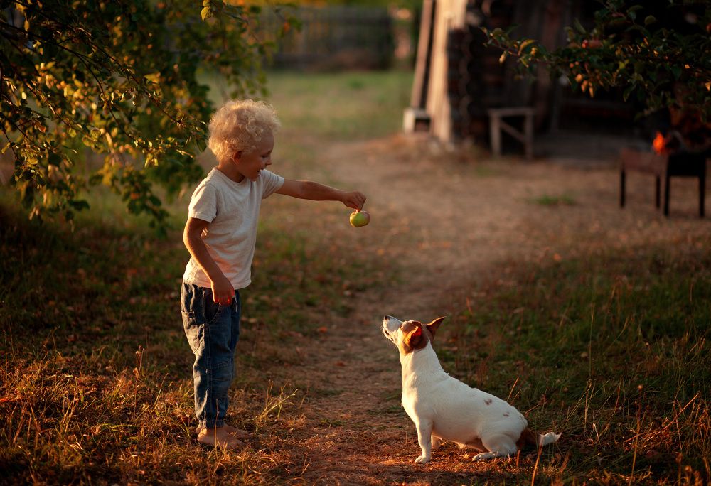 Photograph by Александра