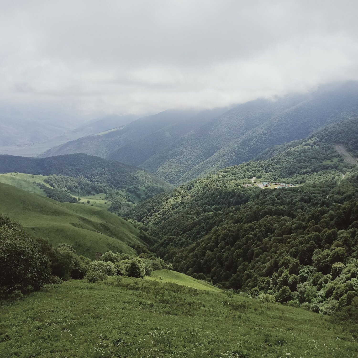 Photo #6469988