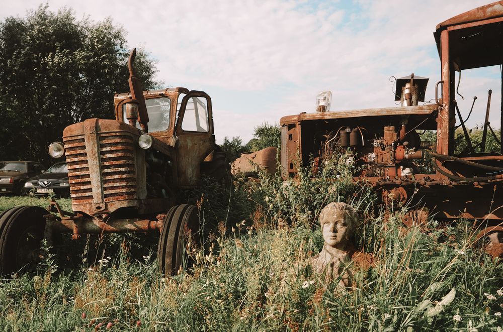 Photograph by Ольга Еженевская