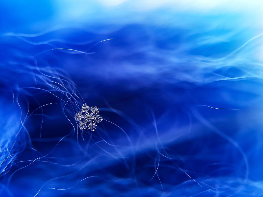 Фотография автора Наталья