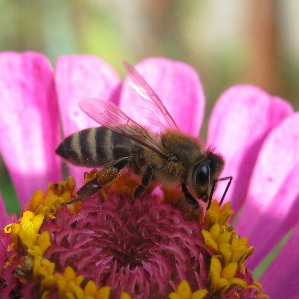 Photograph by Yulia Deimos