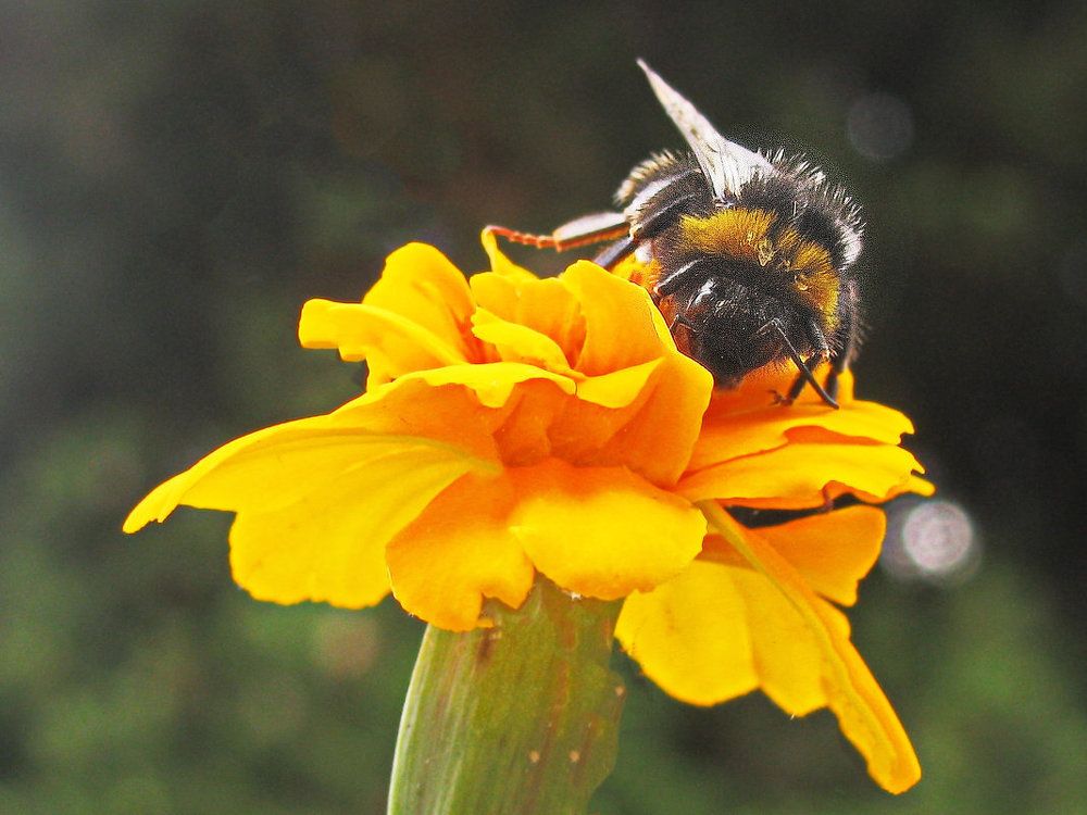 Photograph by Yulia Deimos