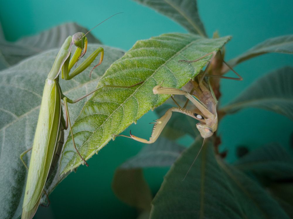 Photograph by Алексей Крукович