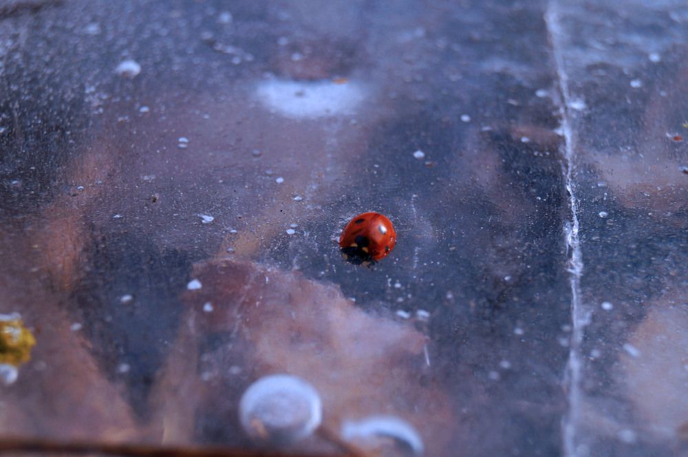 Photograph by Vlad Proshin