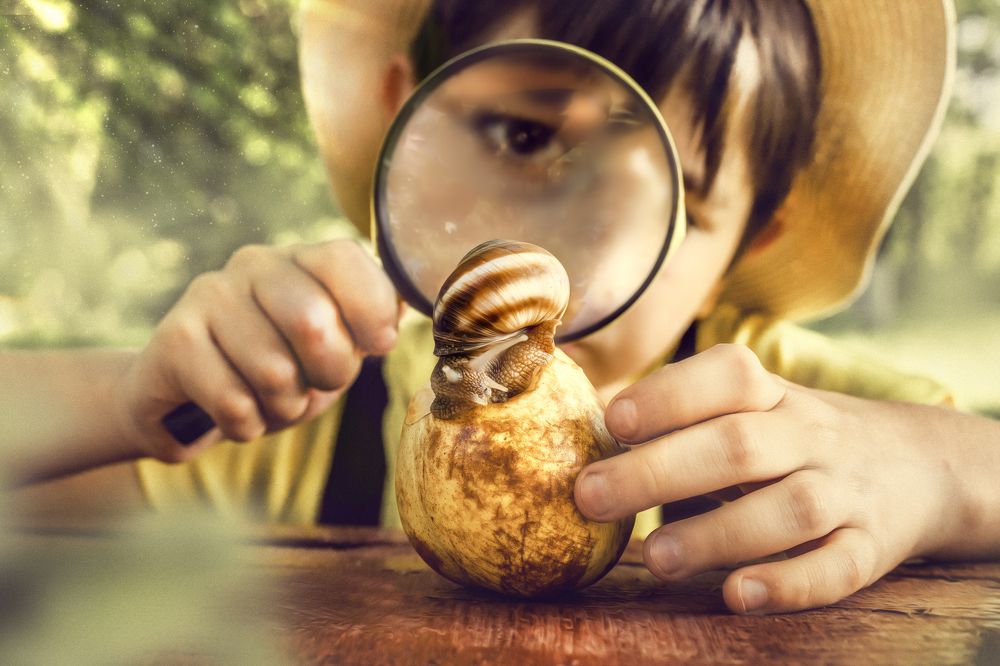 Photograph by Наталья Бондарева