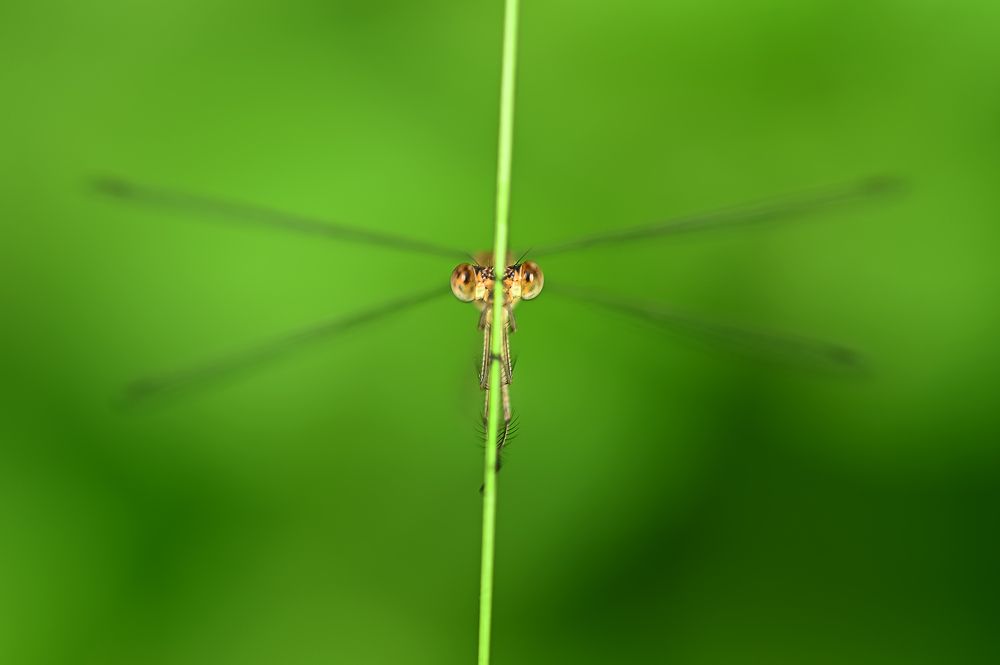 Photograph by Yuwaraj Gurjar